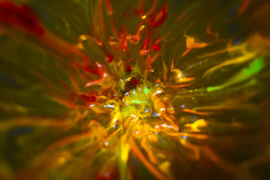 Fuego Interno