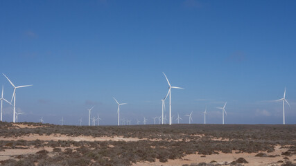 Wind farm with wind turbines on the west coast of South Africa, close to Lutzville