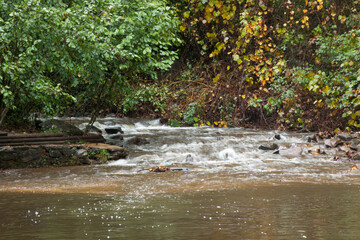 Obraz na płótnie Canvas Fall leaves in a cascading stream