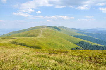 Fototapeta na wymiar Landscape of the mountain ridge covered with green grass under vibrant blue cloudy sky, Carpathian Mountains, Ukraine