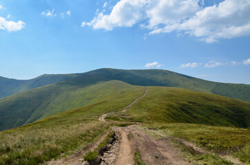 Landscape of the mountain ridge covered with green grass under vibrant blue cloudy sky, Carpathian Mountains, Ukraine