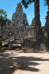 Glimpses of Cambodia