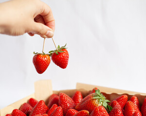 2 red strawberries on a toothpicks  in hand and red strawberries in a wooden box  on a white background