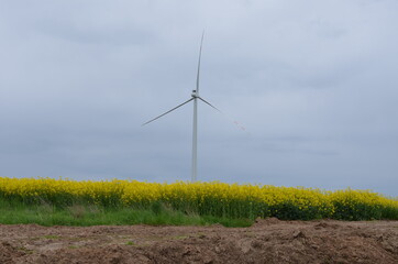 Świętokrzyskie  wiatraki , farma gmina Bogoria , wiatraki Bogoria ,dęty, energetyczne, wiatrak, moc, turbina, elektrycznośc, okolica, generator, niebo, alternatywa, , pola, turbina wiatrowa,  © Szymon