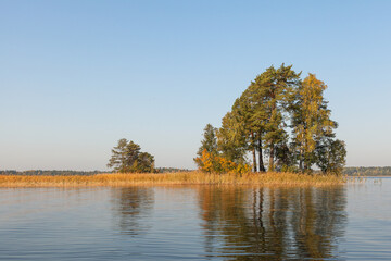 trees on a small river island on a sunny autumn day