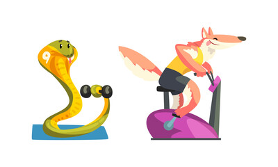 Cute Animals Wild Animals Doing Sports Set, Fox Exercising on Stationary Bike and Snake Exercising with Dumbbells Cartoon Vector Illustration