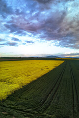 Sleza mount - landscape with field and blue sky