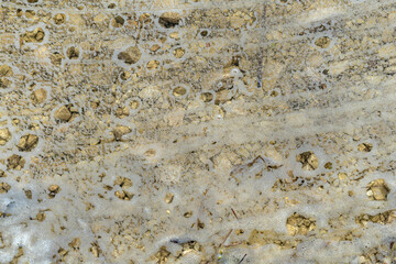 Top view foam on the water near the river bank, background.