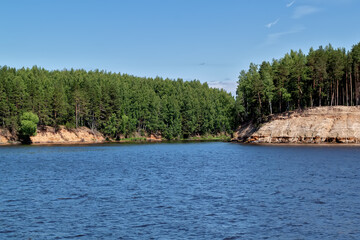 Forest on the coast of the river