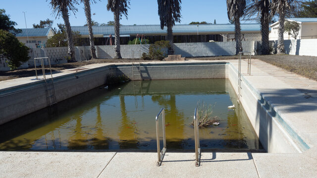 Neglected old swimming pool.  The pool is half full of water and there are fishing swimming in it. Grass are growing in the green water.