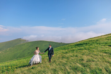 Beautiful wedding couple in the mountains. The bride and the stylish groom are walking along the green field.