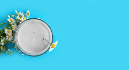glass of milk chamomile flower on a colored background
