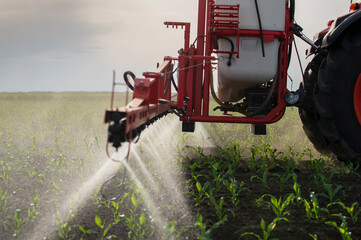 Tractor spraying pesticides at corn fields - obrazy, fototapety, plakaty