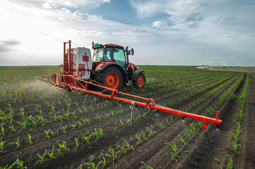 Fototapeta premium Tractor spraying pesticides at corn fields