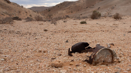 Remains of a single use rusted food tin which was littered and is now polluting a desert
