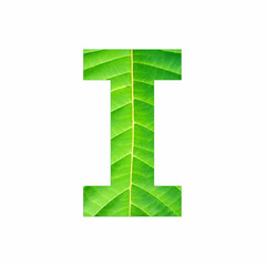 Uppercase Alphabet Letter I - Tropical green leaf texture