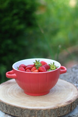 Bowl of fresh strawberries, served in a garden. Selective focus.