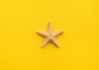 summer mood wallpaper background travel starfish