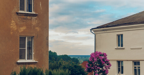 Parts of two residential buildings in the countryside, between which you can see the landscape of the area. The lilac blooms on the front. Blue sky, green trees and horizon