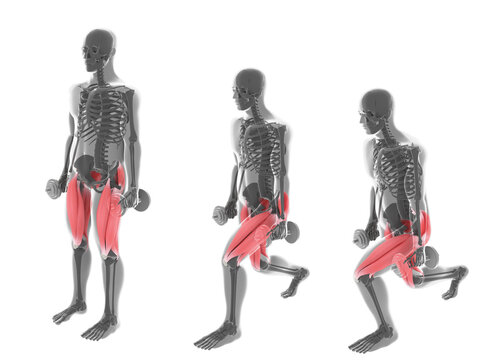 3D Illustration of the Positions Sequence of Alternate Front Lunges with Dumbbell on White Background