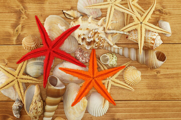 Fototapeta na wymiar Sea shells and colorfully painted Starfishes on brown wooden background. Top down view. Closeup