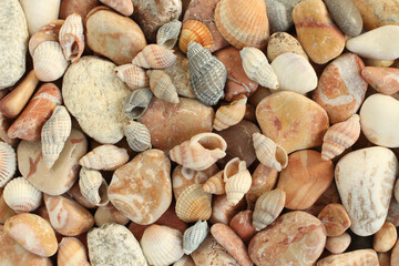 Sea shells, mussels, beige and brown stones background. Closeup. Top down view