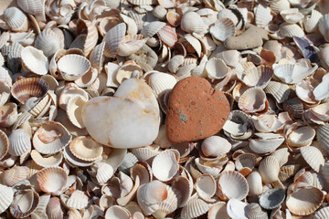 Two heart-shaped stones lying on seashells on the sea coast. Closeup