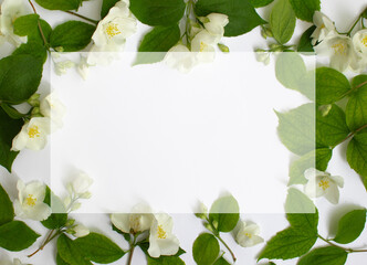 Fototapeta premium Floral frame made of Jasmine flowe isolated on white background Flowers frame.