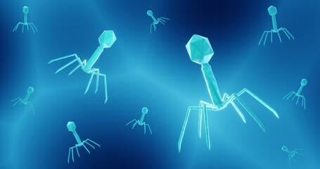 Phage viruses, Bacteriophages can be used as antibiotics alternative