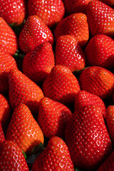 Set of red strawberries on the board, large ripe strawberries, rhythm close up