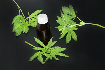 cannabis leaves spread around a glass jar of hemp oil on a black background