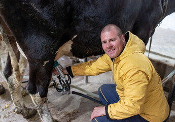 Young farmer crouching next to Holstein cow using milking machine