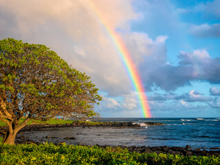 rainbow over the sea © Gary