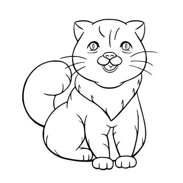 Outline coloring book with cute cartoon cat. Vector illustration drawing of brown kitten.