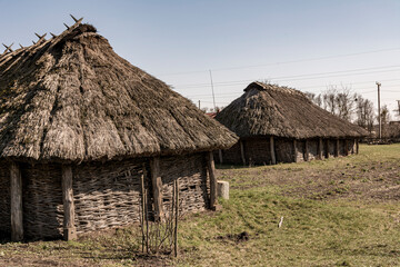 Fototapeta na wymiar An old rural thatched-roofed farmhouse built of logs.