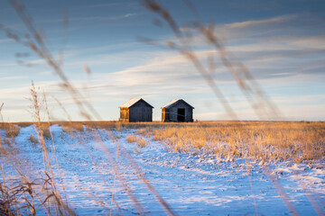Two vintage grain sheds on a harvested field during the spring at sunrise in Rocky View County Alberta Canada.
