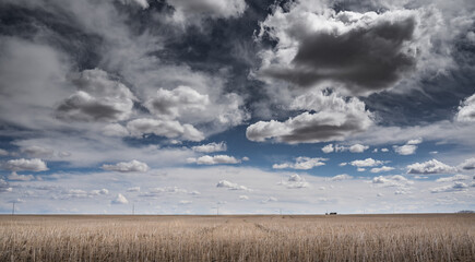 A dramatic cloudy sky over the Canadian prairies on a seeded wheat field in Rocky View County Alberta Canada.
