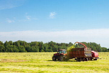 Hay harvesting in the field.