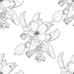 A sketch of a flowering branch. Natural background.