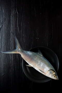 Whole raw fish on dark surface 