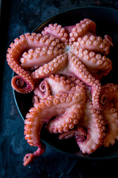 octopus in a bowl 
