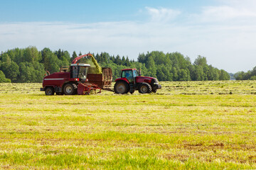 Hay harvesting in the field.