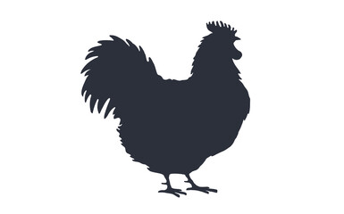 Rooster, chicken, hen, silhouette. Black white silhouette of rooster or hen. Vintage logo, retro print for Butchery meat shop, restaurant menu, rooster silhouette. Vector Illustration