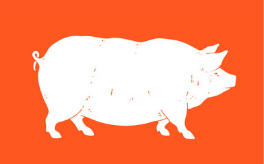 Pig, pork. Vintage logo, retro print for Butchery meat shop, pig silhouette. Logo template for meat business, meat shop. Isolated silhouette pig on white background. Vector Illustration