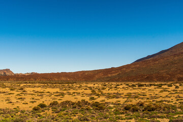 Fototapeta na wymiar Paisaje en el Parque Nacional del Teide