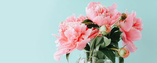 pink peonies on blue background © kochabamba