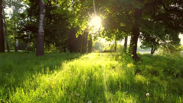 Aerial drone view flight over dirt path in park in early morning