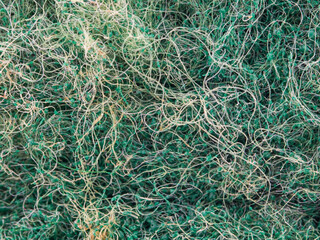 macro image of the fibers that make up a kitchen sponge