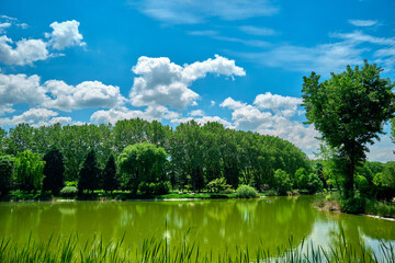 Obraz premium Green public and nature park in Bursa during sunny day. Park with small pond behind green grass and fresh trees in spring time with blue sky and white clouds in a day time morning.