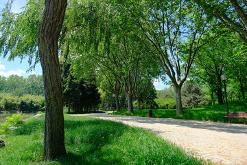 Green public and nature park in Bursa during sunny day. Park with walking gravel road and way behind green grass and fresh trees in spring time with wooden bench. Translation "Bursa Municipality"